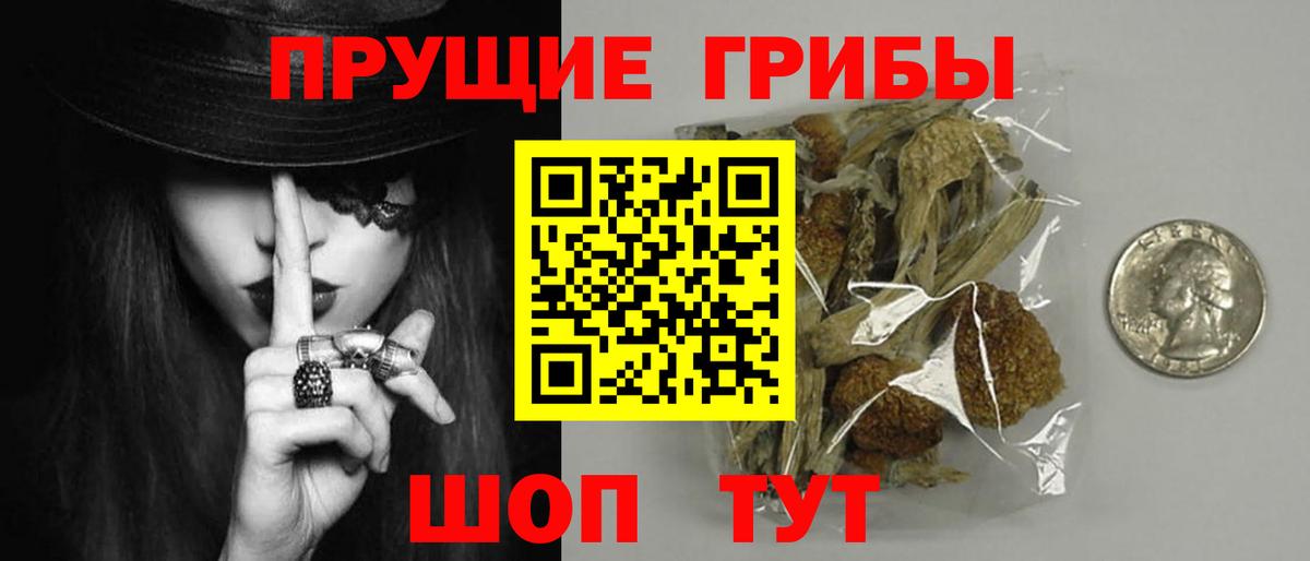 Галлюциногенные грибы MAGIC MUSHROOMS  Вход с VPN  Бердск 