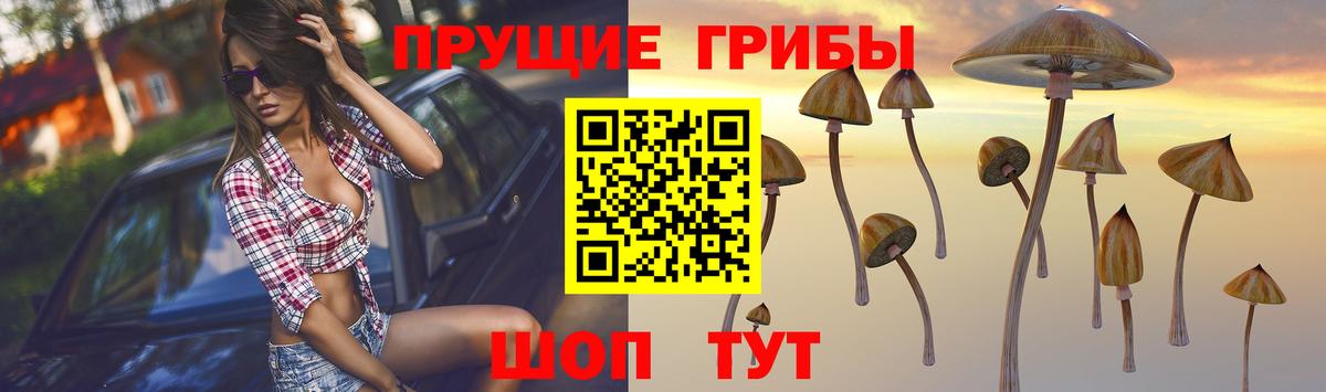 Галлюциногенные грибы Magic Shrooms Бердск