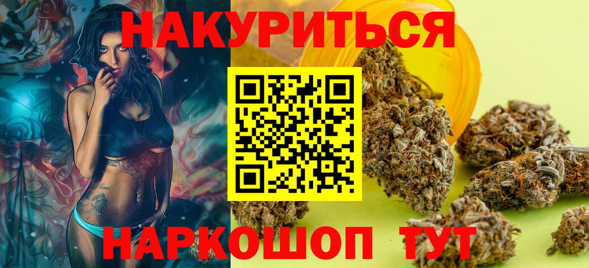 Бошки Шишки план Бердск